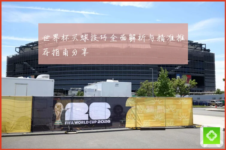 世界杯买球技巧全面解析与精准推荐指南分享