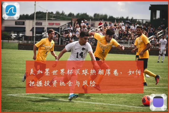 美加墨世界杯买球热潮席卷，如何把握投资机会与风险