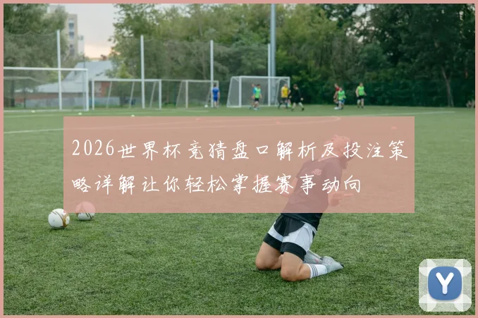 2026世界杯竞猜盘口解析及投注策略详解让你轻松掌握赛事动向