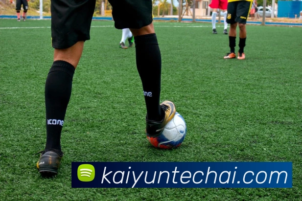 开云平台展示图