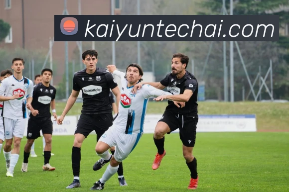 开云娱乐全站App